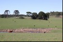Fazenda Cap