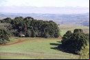 Fazenda Clarice